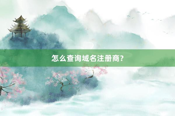 怎么查询域名注册商？