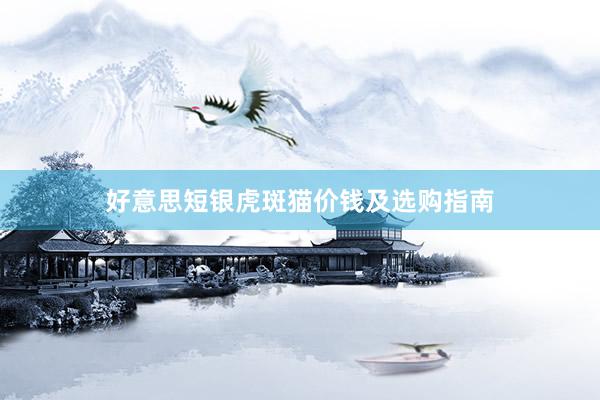 好意思短银虎斑猫价钱及选购指南