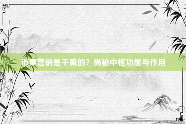 市集营销是干嘛的？揭秘中枢功能与作用